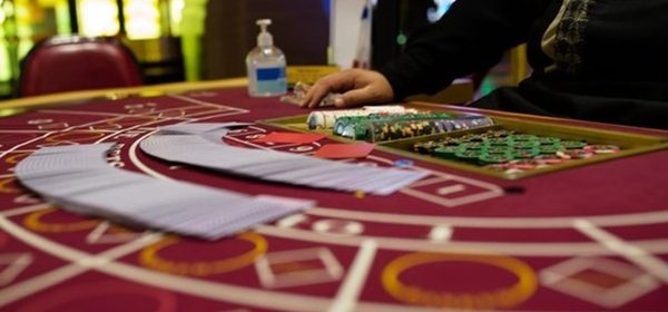 how to decide which 로투스홀짝 casino software is best for you